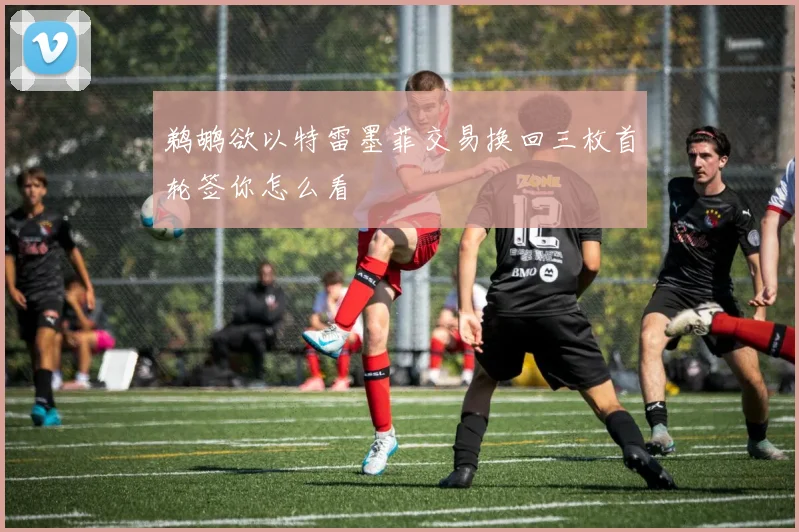 鹈鹕欲以特雷墨菲交易换回三枚首轮签你怎么看