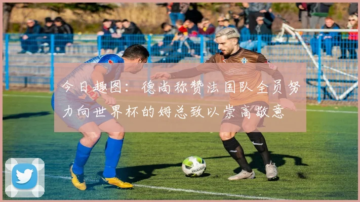 今日趣图：德尚称赞法国队全员努力向世界杯的姆总致以崇高敬意