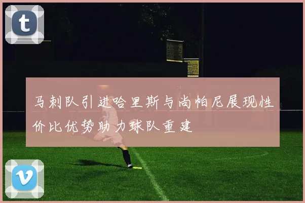 马刺队引进哈里斯与尚帕尼展现性价比优势助力球队重建
